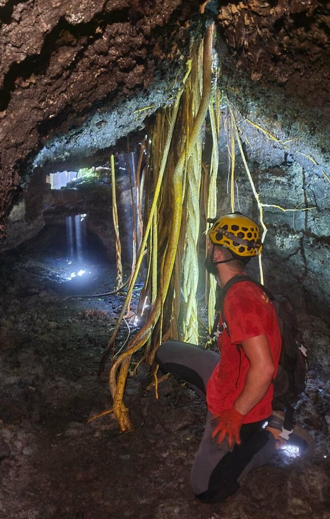 Spéléologue dans le tunnel de lave de Citron Galet à La Réunion avec puits de lumière et racines